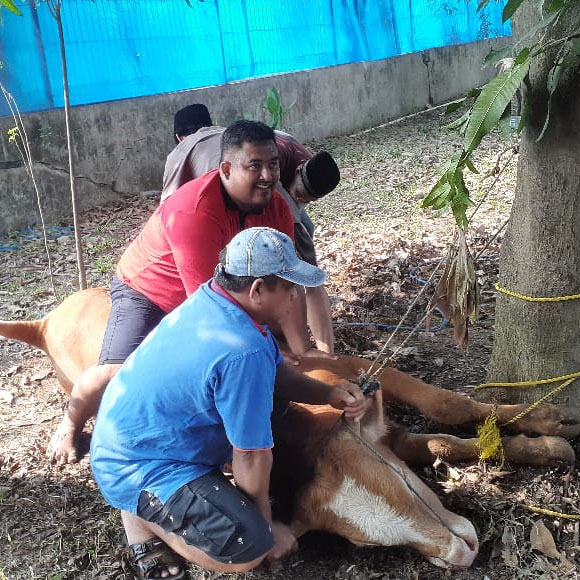 Talk About the Three Major Types of Floor Tiles